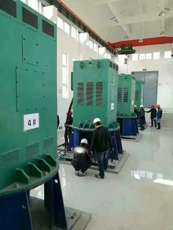Y5004-8某污水处理厂使用我厂的立式高压电机安装现场生产厂家