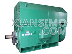 Y5004-8YXKK(2极)高效高压电机技术参数