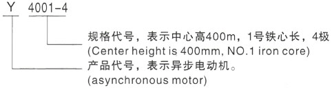 西安泰富西玛Y系列(H355-1000)高压Y5004-8三相异步电机型号说明